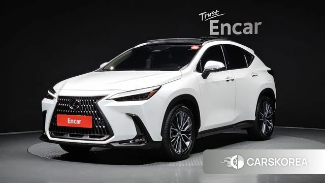 Lexus NX350h Second generation 2024 Белый из Кореи
