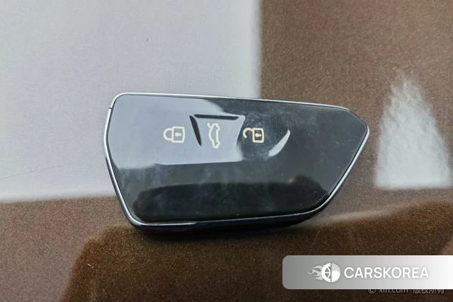 Volkswagen Lanjing 2021 Коричневый из Китая