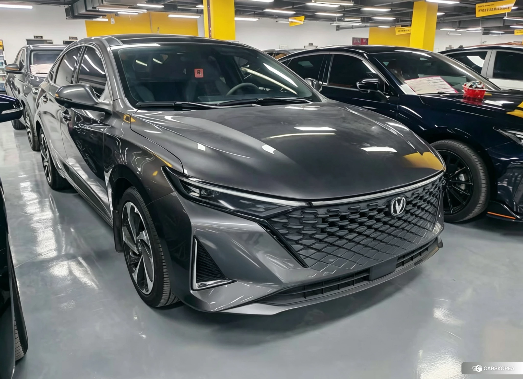 Chang'an Ruicheng PLUS 2022 Темно-серый из Китая