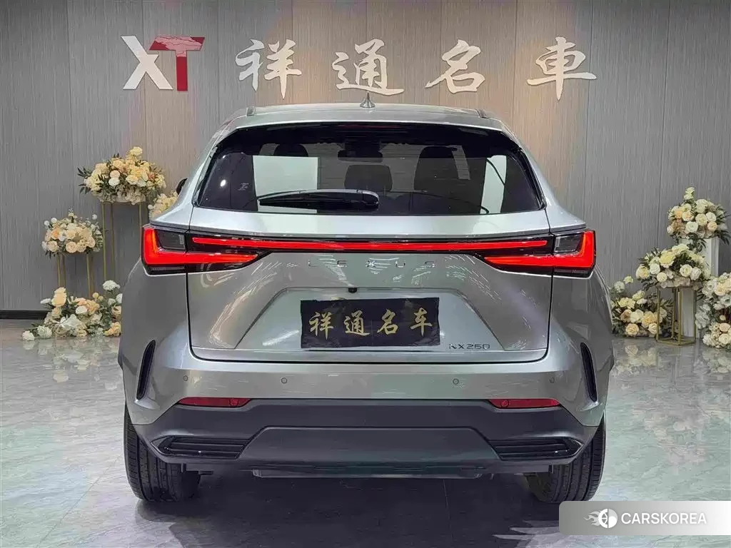 Lexus NX 2023 Silver/gray из Китая