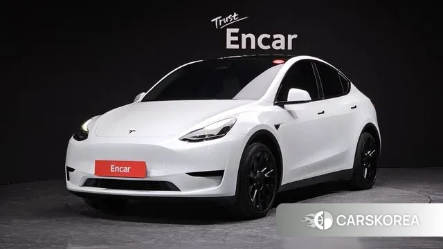 Tesla Model Y 2023 Белый из Кореи