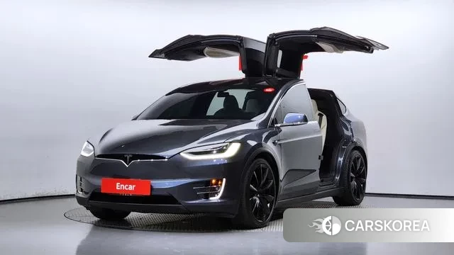 Tesla Model X 2020 Серый из Кореи