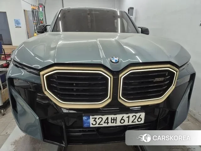 BMW XM (G09) 2023 Цвет тростника из Кореи