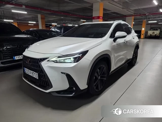 Lexus NX350h Second generation 2024 Белый из Кореи