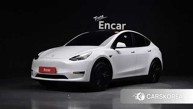 Tesla Model Y 2021 Белый из Кореи