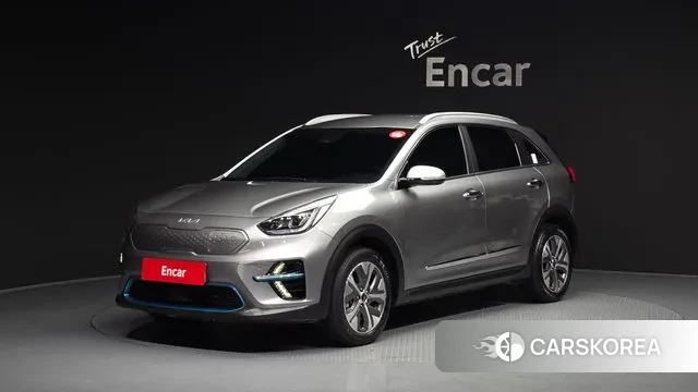 Kia Niro EV 2021 Серый из Кореи
