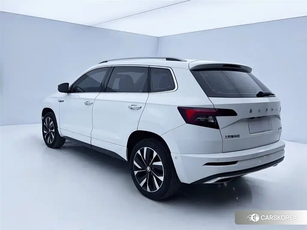 Skoda Krok 2024 Белый из Китая