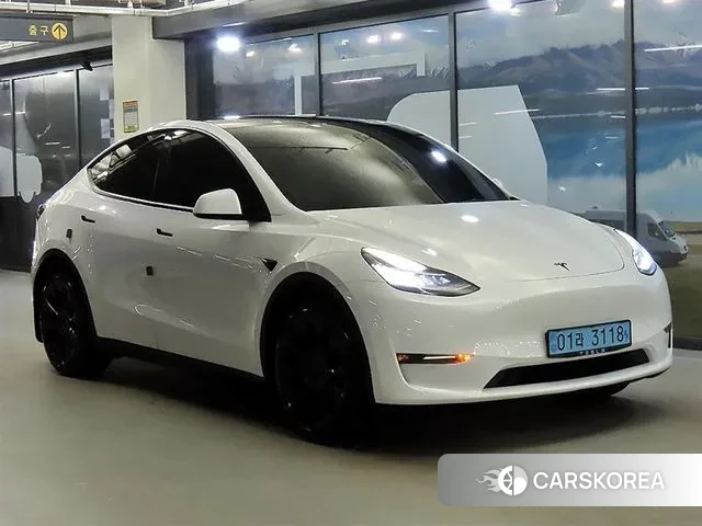 Tesla Model Y 2021 Белый из Кореи