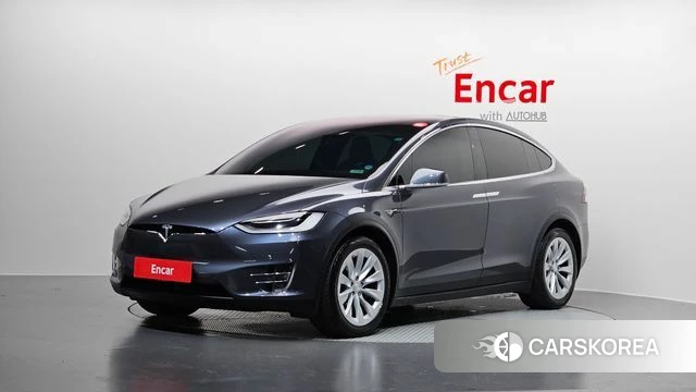 Tesla Model X 2019 Серый из Кореи