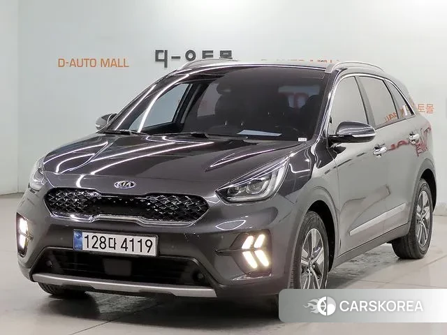 Kia The New Niro 2021 Цвет тростника из Кореи