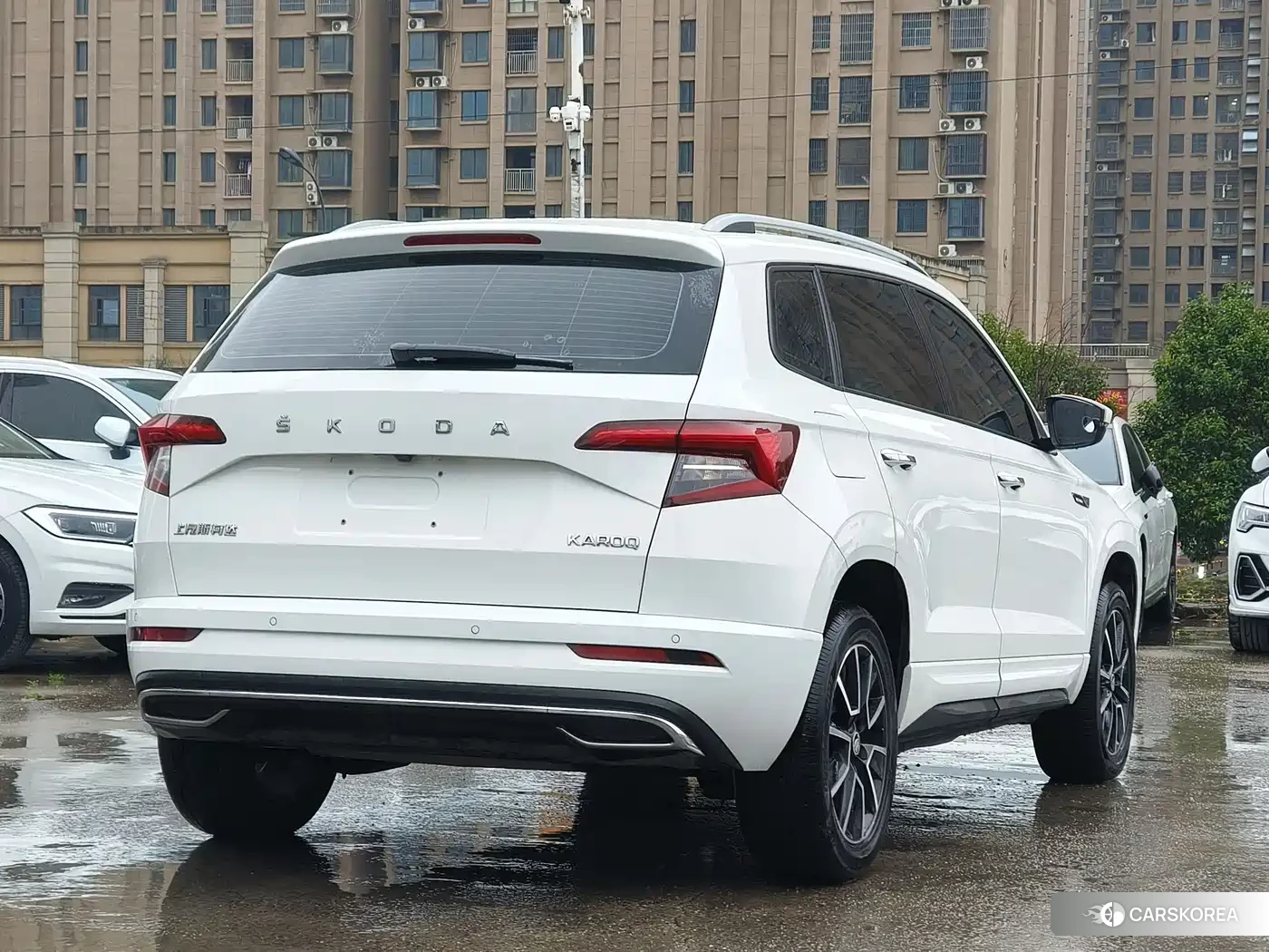 Skoda Krok 2023 Белый из Китая