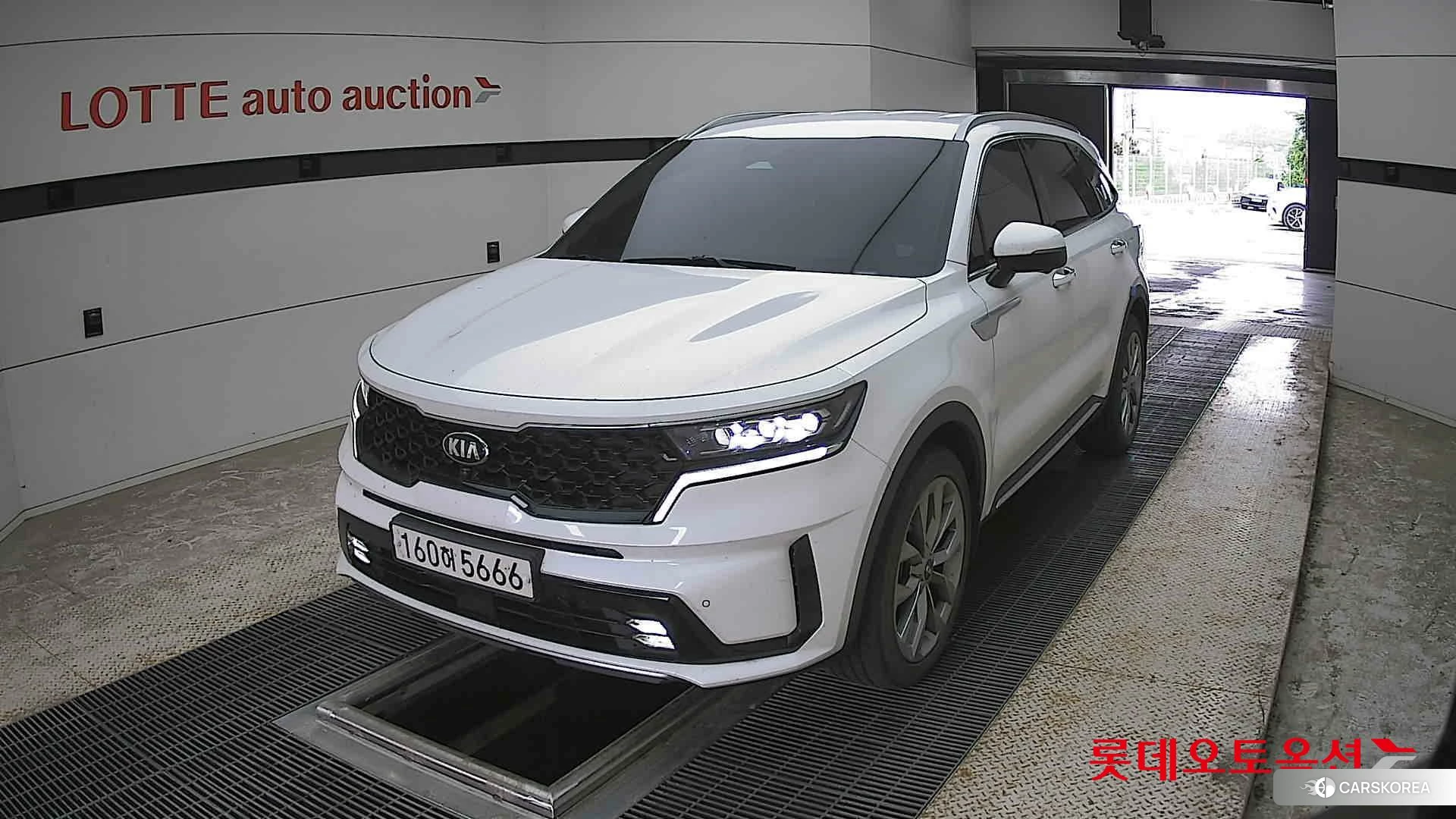 Kia Sorento 2021 Snow White Pearl (optional) из Кореи