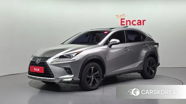 Lexus NX300h 2019 Песочный из Кореи