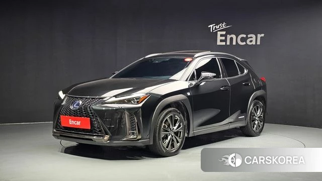 Lexus UX250h 2021 Серый из Кореи