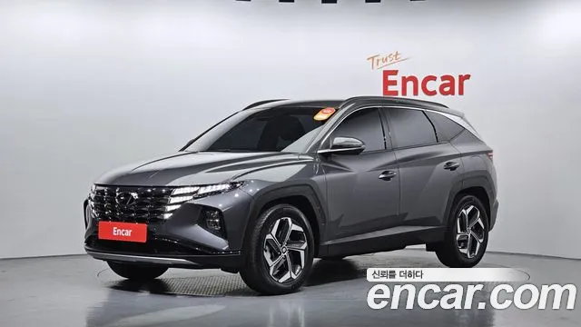 Hyundai Tucson Hybrid (NX4) 2023 Серый из Кореи