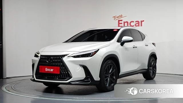 Lexus NX350h Second generation 2023 Белый из Кореи