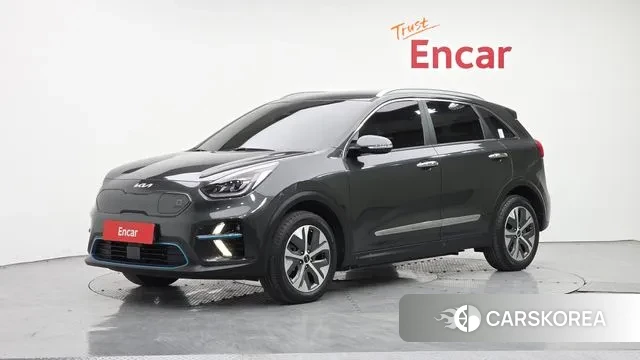 Kia Niro EV 2021 Серый из Кореи