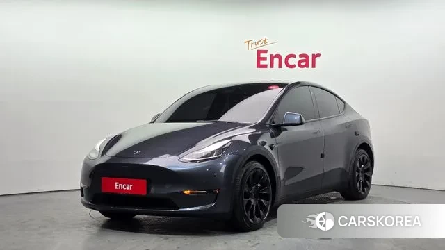 Tesla Model Y 2021 Серый из Кореи