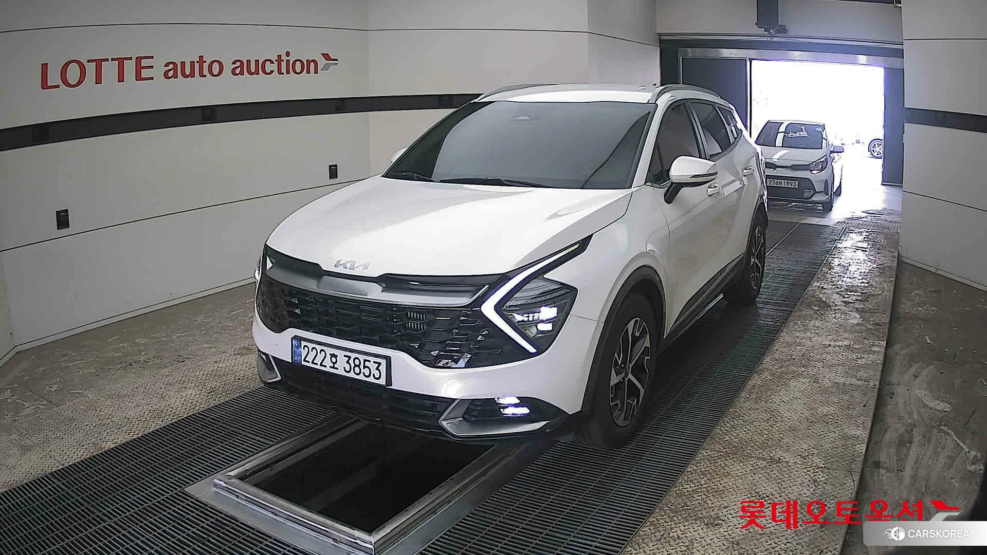 Kia Sportage Hybrid 2024 Snow White Pearl из Кореи