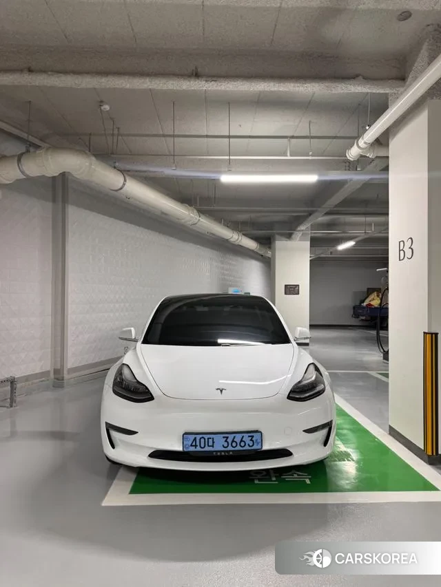 Tesla Model 3 2020 Белый из Кореи