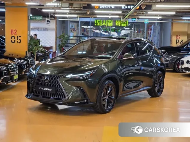 Lexus NX350h Second generation 2025 Светло-зеленый из Кореи