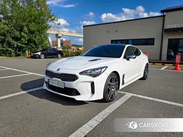 Kia Stinger 2018 Белый из Кореи