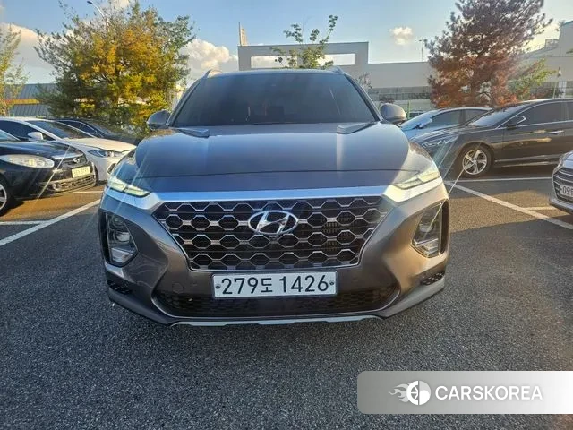Hyundai Santa Fe TM 2019 Цвет тростника из Кореи