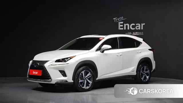 Lexus NX300h 2020 Белый из Кореи