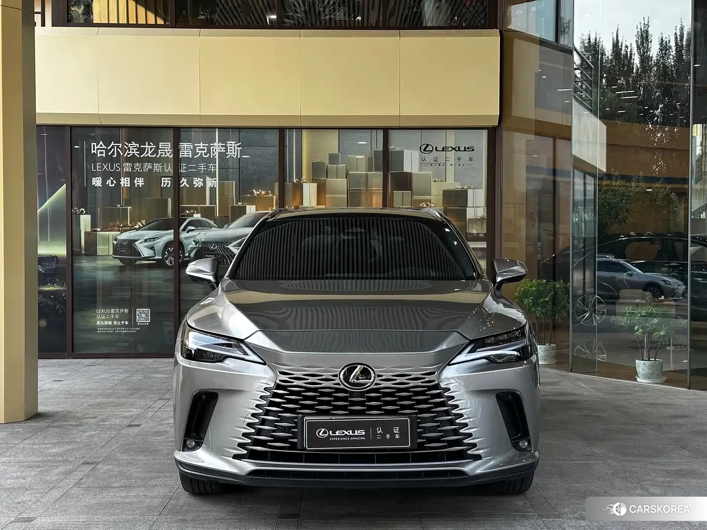 Lexus RX 2023 Silver/gray из Китая
