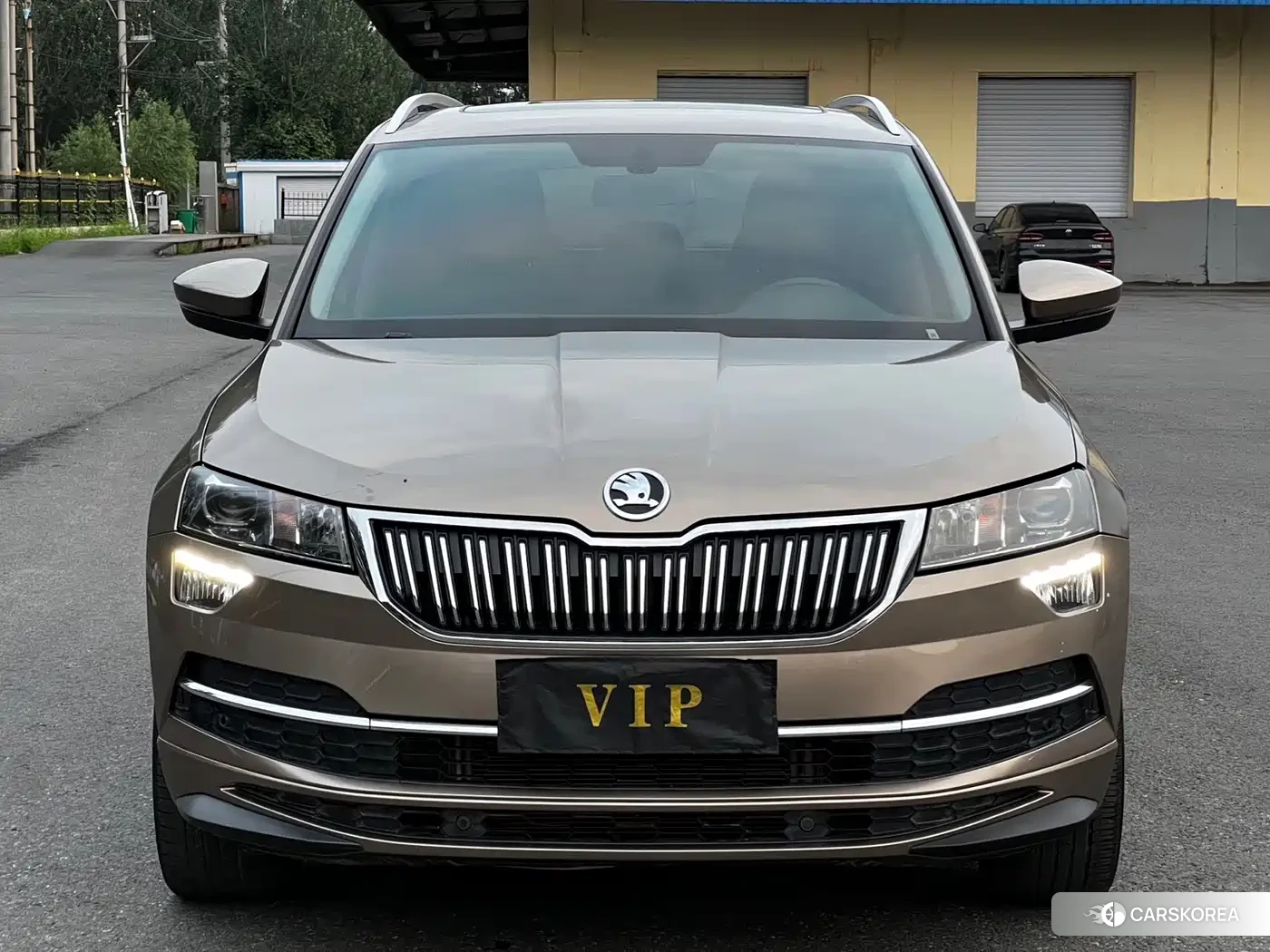 Skoda Karoq 2022 Champagne/brown из Китая