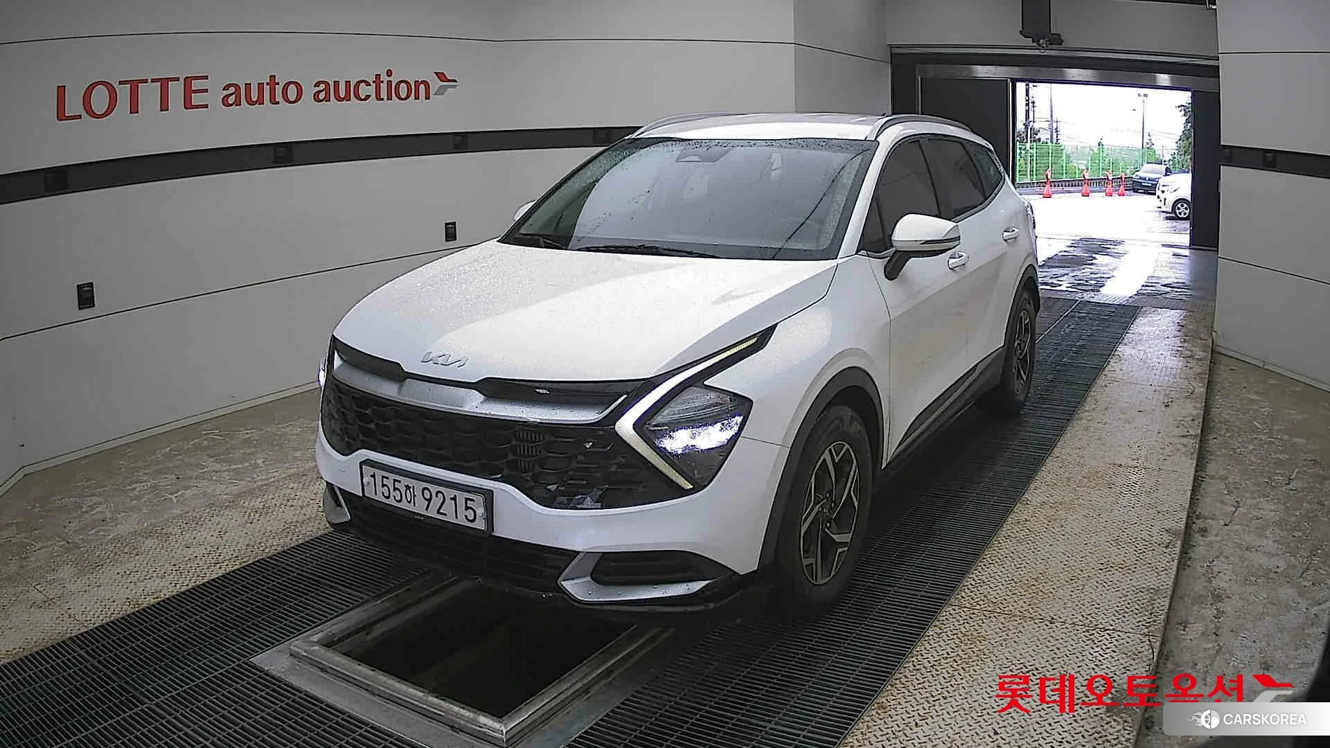 Kia Sportage 2022 Snow White Pearl (optional) из Кореи