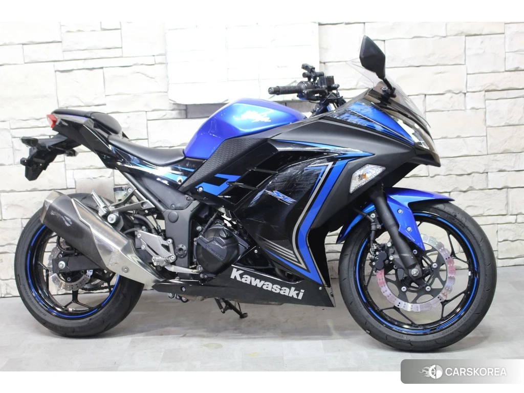 Проданный OTHER Ninja 250 SE 2015 из Японии, фото 2