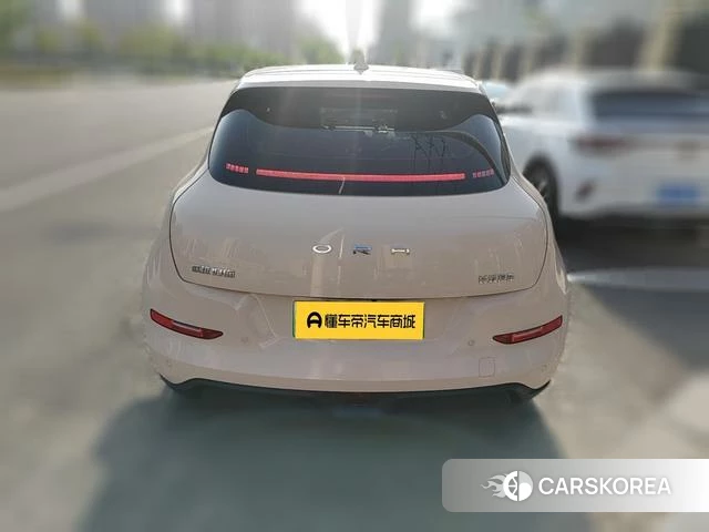 Euler Good cat 2022 Другой из Китая