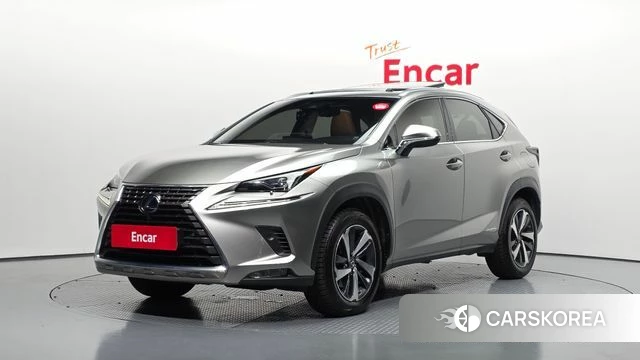Lexus NX300h 2018 Серебристо-серый из Кореи