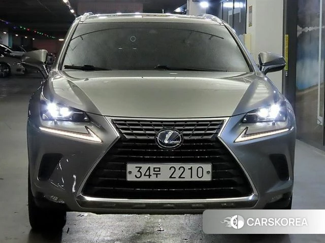 Lexus NX300h 2018 Серый из Кореи