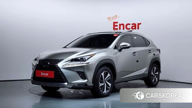 Lexus NX300h 2019 Серый из Кореи
