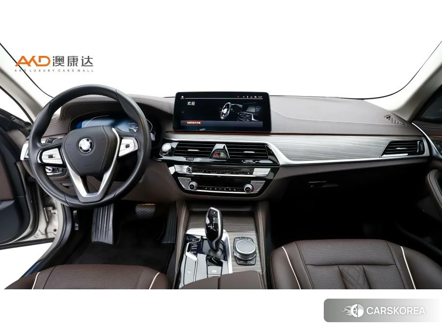 BMW 5 series 2021 Шампань из Китая
