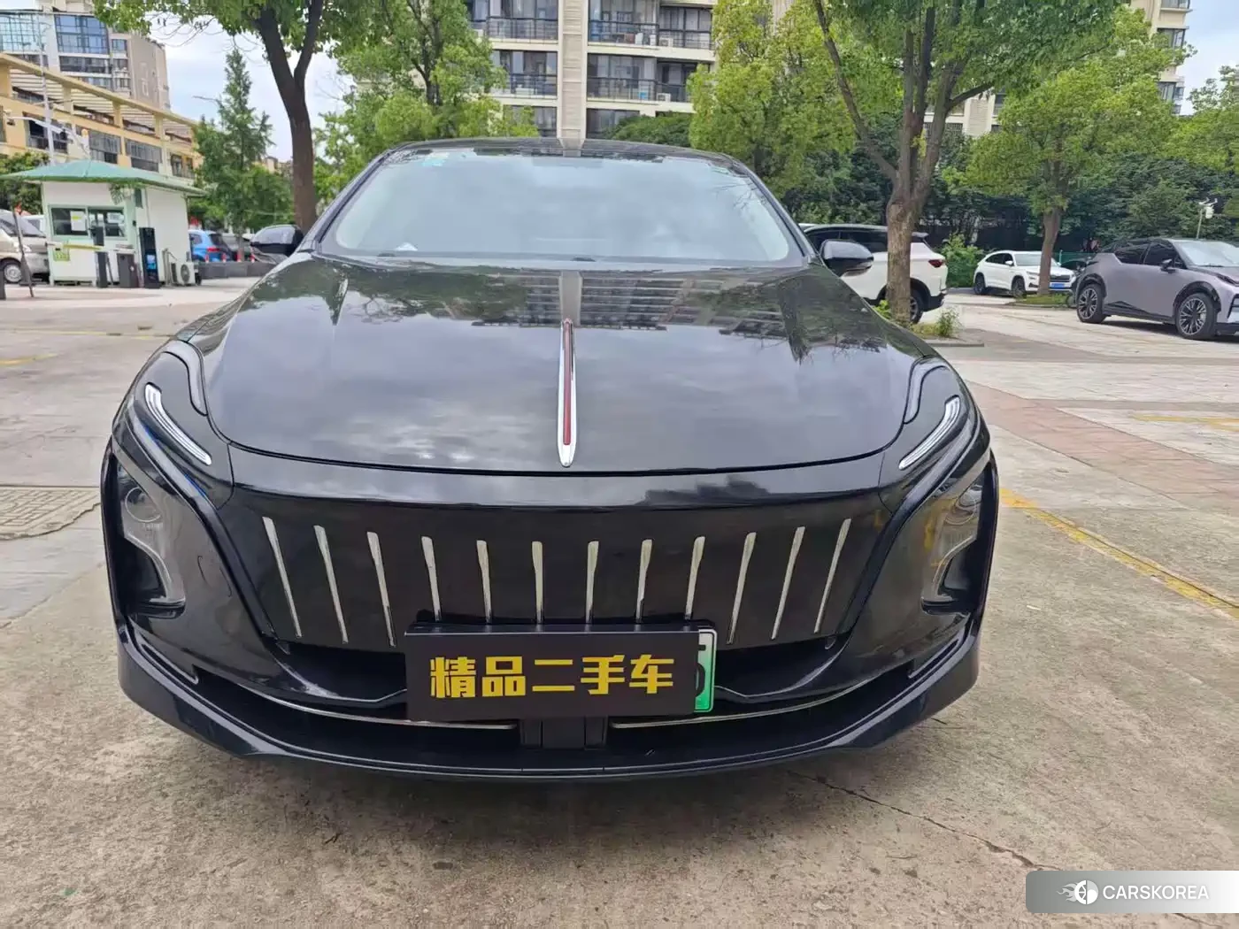 Red flag Hongqi E-QM5 2021 Черный из Китая