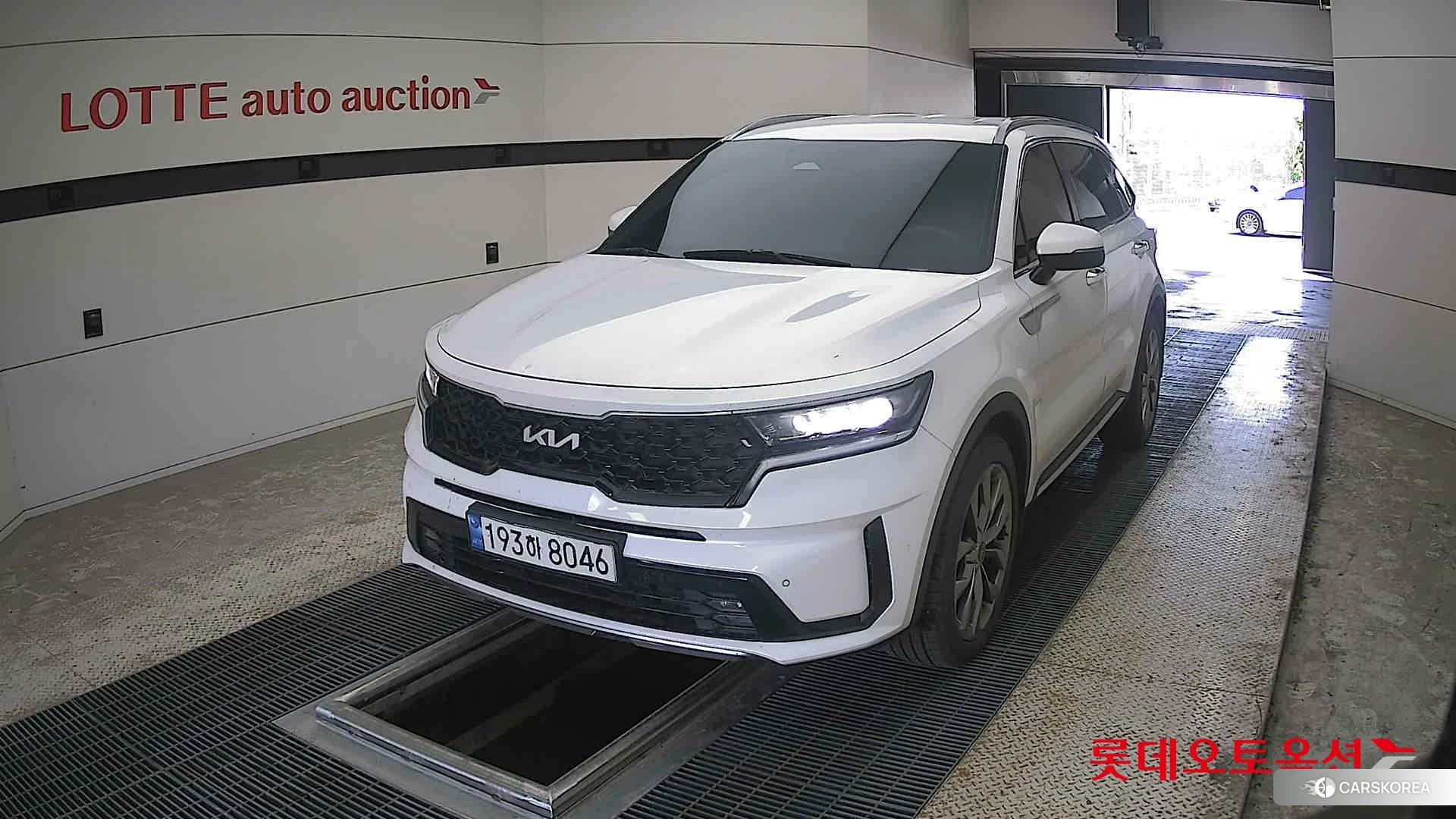 Kia Sorento 2022 Snow White Pearl (optional) из Кореи