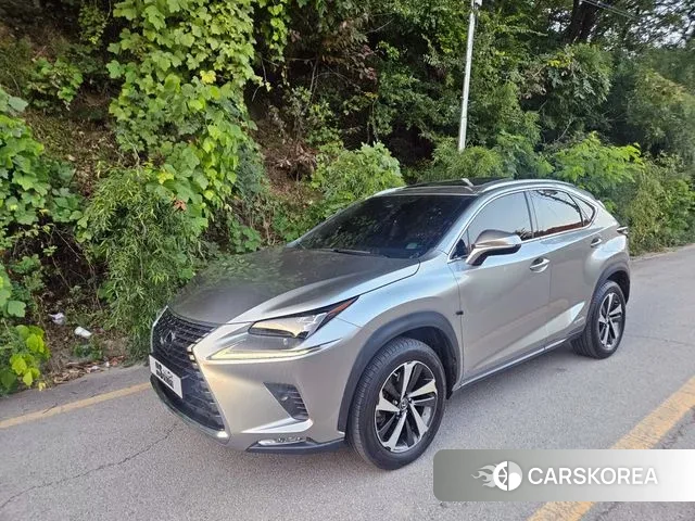 Lexus NX300h 2021 Серый из Кореи