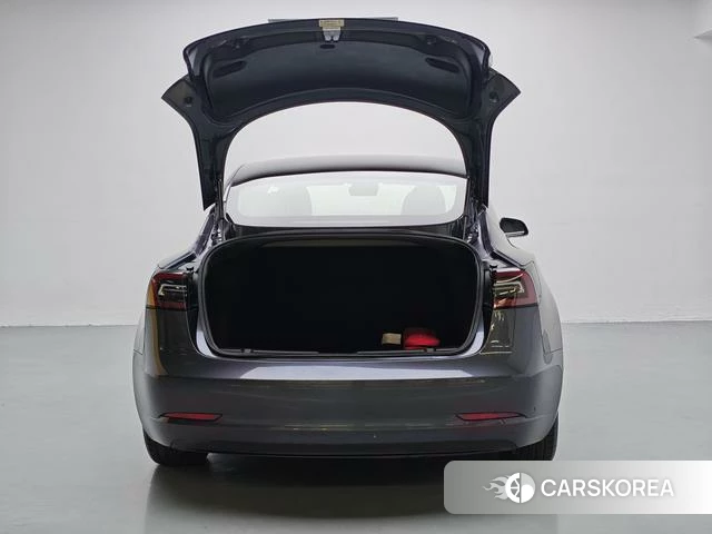 Tesla Model 3 (imported) 2019 Темно-серый из Китая