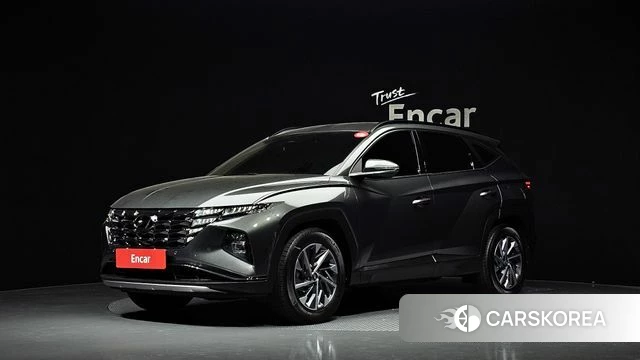 Hyundai Tucson Hybrid (NX4) 2022 Цвет тростника из Кореи
