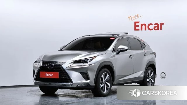 Lexus NX300h 2018 Серый из Кореи