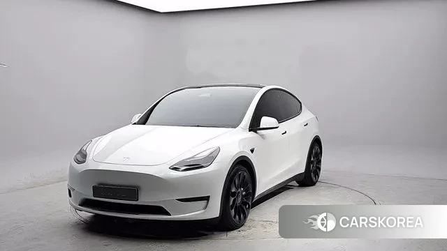 Tesla Model Y 2021 Белый из Кореи