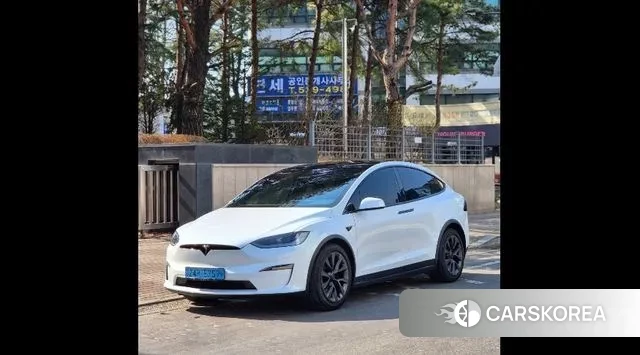 Tesla Model X 2023 Белый из Кореи