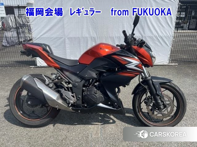 Проданный Kawasaki Z250 2014 из Японии