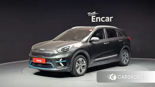 Kia Niro EV 2021 Серый из Кореи