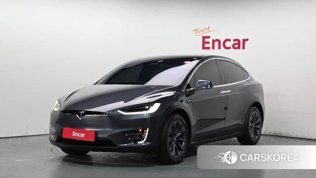 Tesla Model X 2019 Серый из Кореи