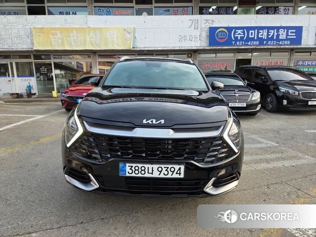 Kia The New Sportage 5th Generation Hybrid 2024 Цвет тростника из Кореи