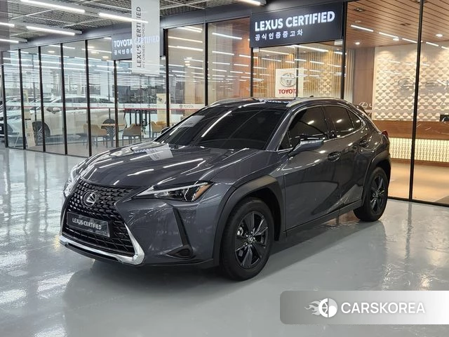 Lexus UX300h 2025 Серый из Кореи